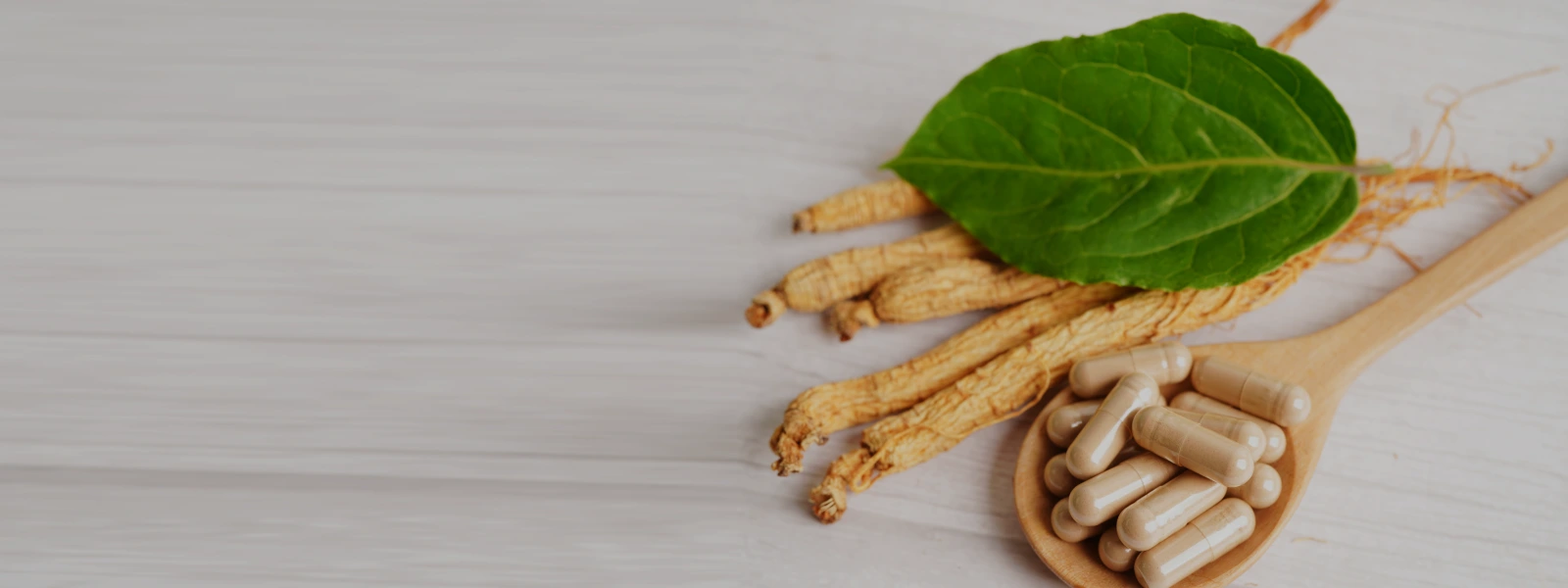 Ginseng Faydaları Nelerdir?