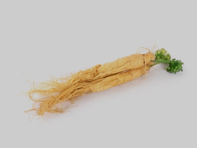 Ginseng Nedir? Ginseng Faydaları Nelerdir?